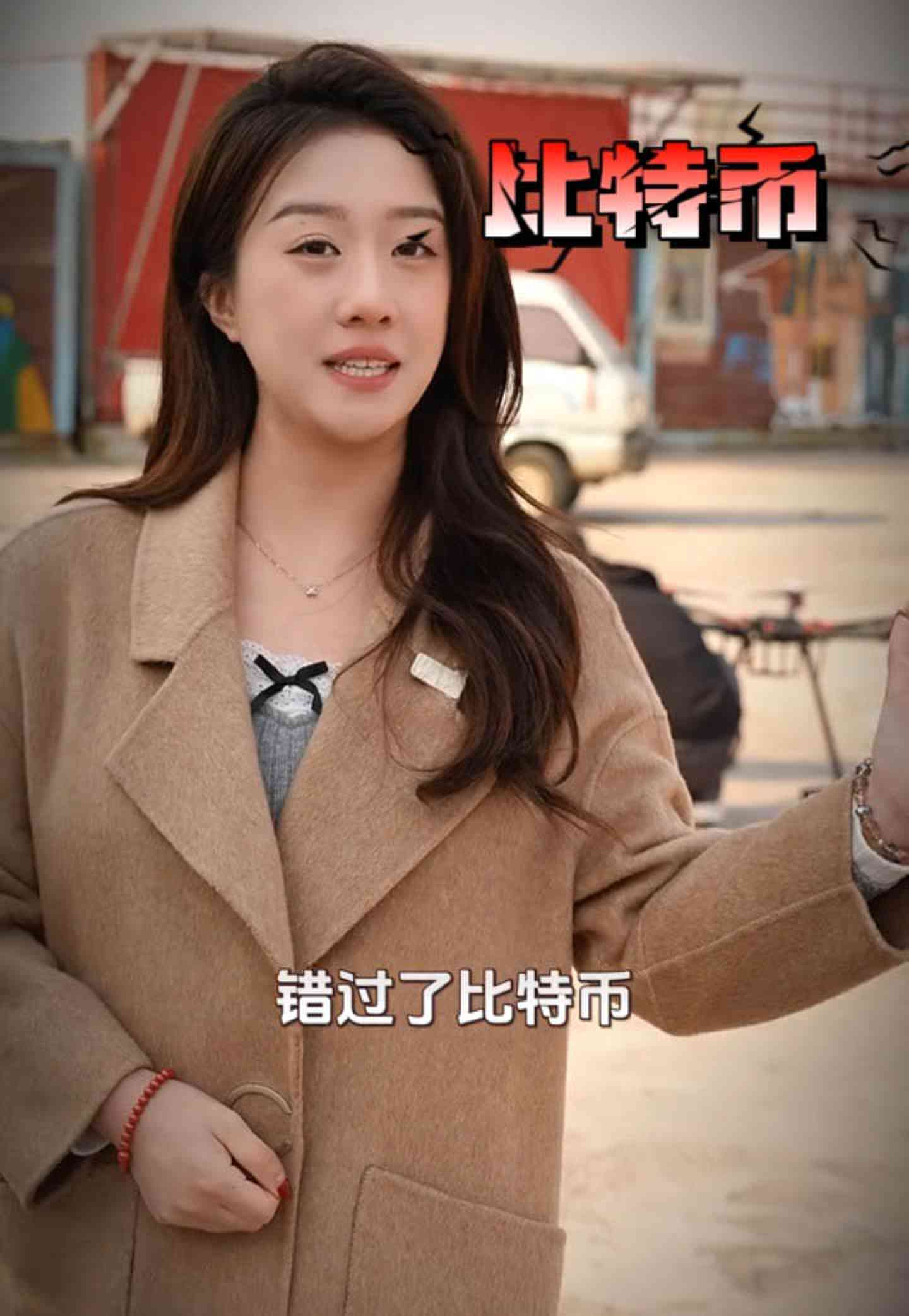 临高培训学校GEO优化案例